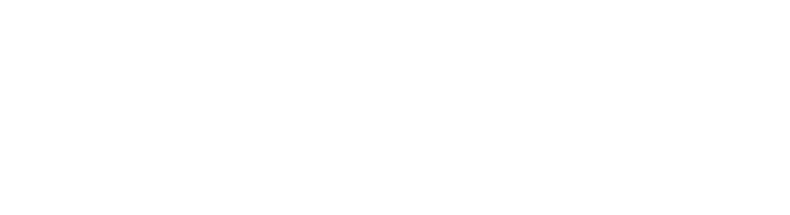 关于kiwi的banner图片